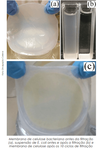 Nanoestruturados e biomembranas incrementam uso de biomateriais para a filtração